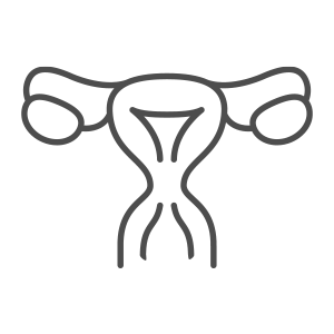 uterus